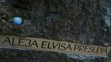Krakowska Aleja Elvisa Presleya