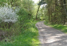 Droga do wsi Podgóra.