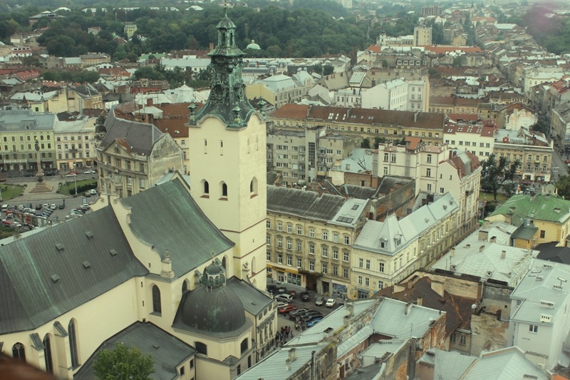 Katedra lwowska