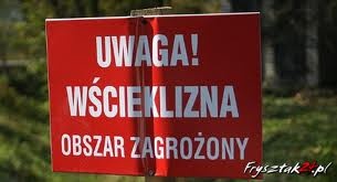 Projekt nowej tabliczki do umieszczenia na drzwiach klubu PO. Źródło: frysztak24.pl