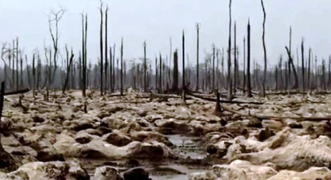 Delta Nigru, Nigeria. Środowisko delty zniszczone przez koncern Shella.