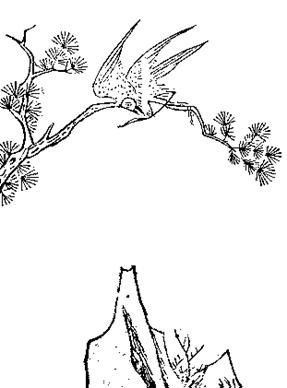 Starożytny trujący ptak zhen, którego podawano celem wyprawienia na drugi świat swoich oponentów