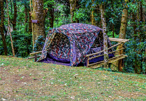 Namiot w lesie. (Zdjęcie ilustracyjne) CC0