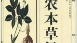 korzeń Shennonga z klasycznego herbarium