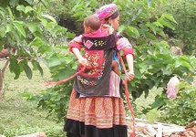 Kolorowa Hmong z dzieckiem na plecach