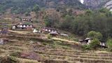 Domy jednej z himalajskich wiosek. Zbz