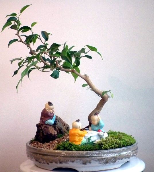05-Bonsai z figurkami rozgrywki Go