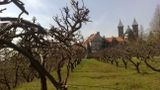 Czerwińsk nad Wisłą - stary sad klasztorny na wiślanej skarpie