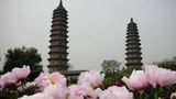 Twing Pagoda w Taiyuan
