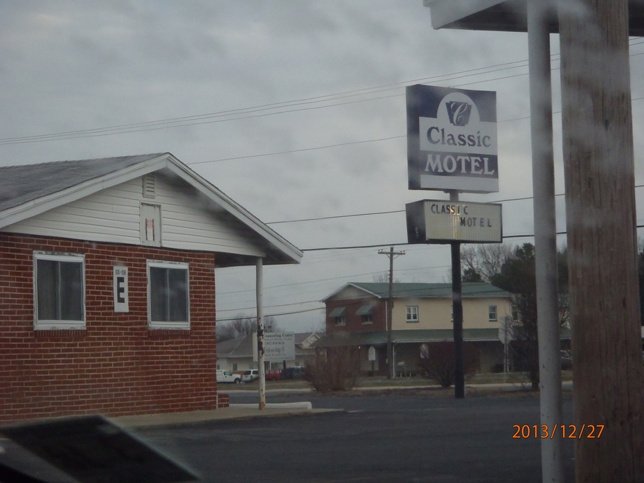 Classic Motel, opanowany przez półdzikie  koty. Zbz