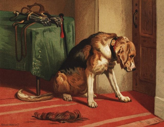 bloodhound w malarstwie