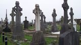 Belfast, 01.02.2006, wpadłem towarzysko na cmentarz