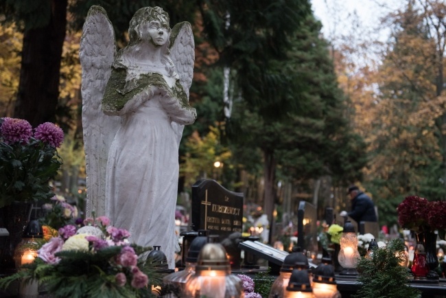 Na zdj. cmentarz w Gdyni, fot. PAP/Roman Jocher