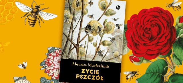 „Życie pszczół” – kolejna książka Maurice Maeterlincka