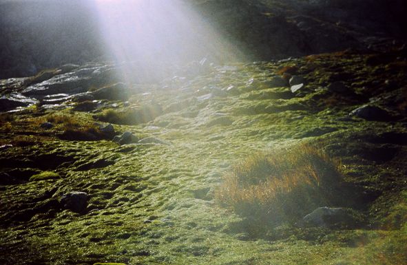 Czy nowe ruchy to światło Bożego Ducha? Na zdjęciu Dolina za Mnichem w Tatrach. Autor Alpejski.