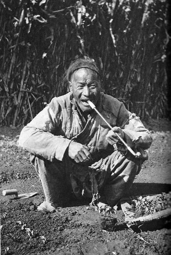 Rolnik palący fajkę