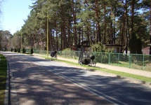 Pogorzelica - główna ulica ze ścieżkami rowerowo-pieszymi.