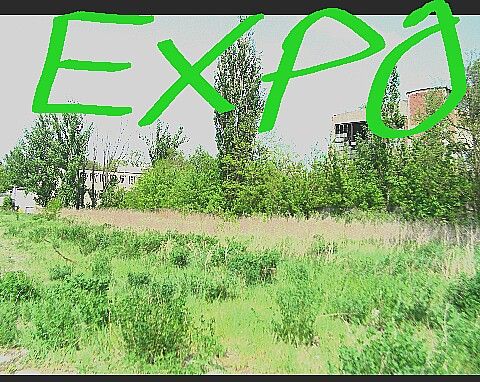 Hallo Łódź!!! Tu bym pierdyknął to całe zielone EXPO!!! Wiecie gdzie?