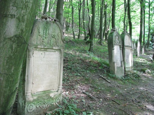 pozostałości cmentarza za ścianą w lesie