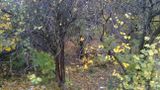 Widok na "Małpi Gaj" tereny zielone wysłonięte EKRANAMI za tysiące złotych z kieszeni Warszawiaków" w błoto" za kadencji HGW.