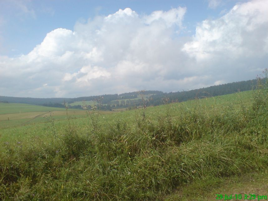 Łąki w okolicy Mochnaczki