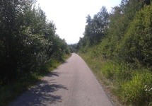 Droga na Nowicę przez las, wąska i mało uczęszczana przez samochody