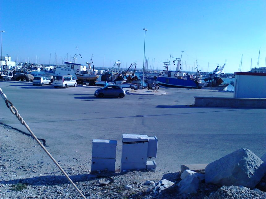 zdj. KJW Trapani. Port rybacki