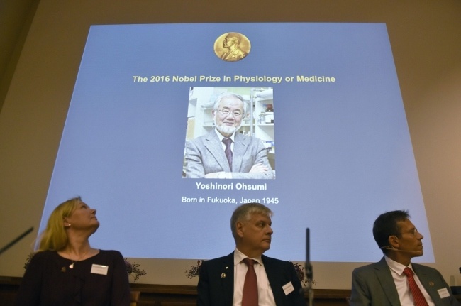 Komitet Noblowski przedstawia medycznego Nobla - laureatem Yoshinori Ohsumi, fot. PAP/EPA/STINA STJERNKVIST