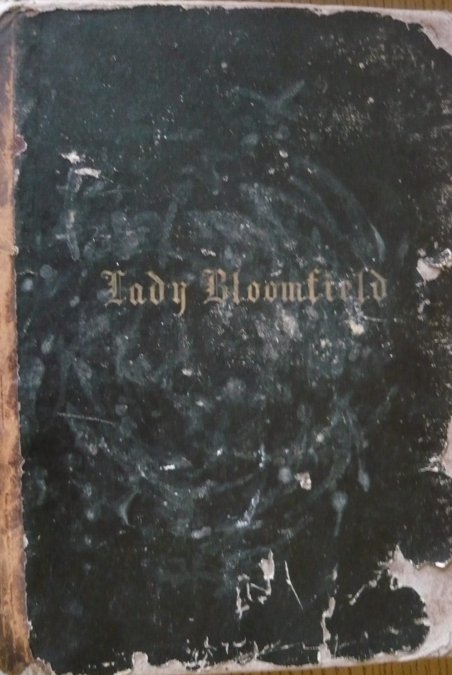 Album Lady Bloomfield/ Jozef Kapustka 2016