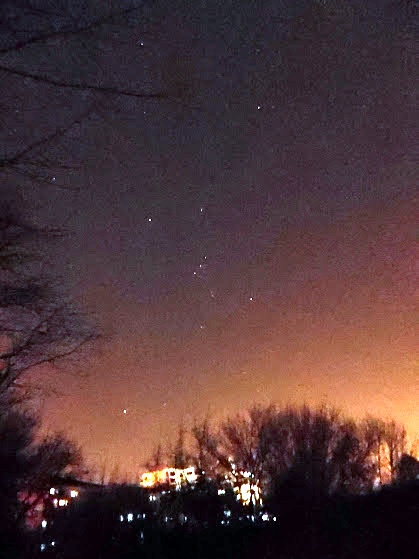Rzut oka w kierunku Oriona. Połowa lutego. Pod Orionem z lewej strony u dołu zdjęcia świeci Syriusz. U góry z prawej Aldebaran.