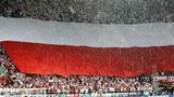 Gdyby polscy piłkarze mieli choć 25% zaangażowania co ich wierni kibice, byliby mistrzami! / Fot Google