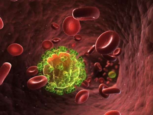 Podpisane jest, że na obrazku widzimy wirus HIV - ale ja w to nie wierzę, niemożliwe by wirus był większy od czerwonych krwinek
