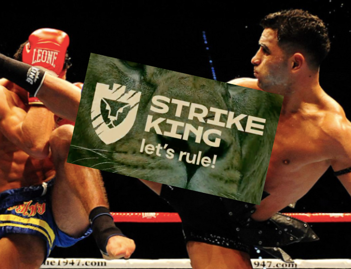 Spektakularne nokauty i duże pieniądze. Nowa federacja wchodzi z przytupem