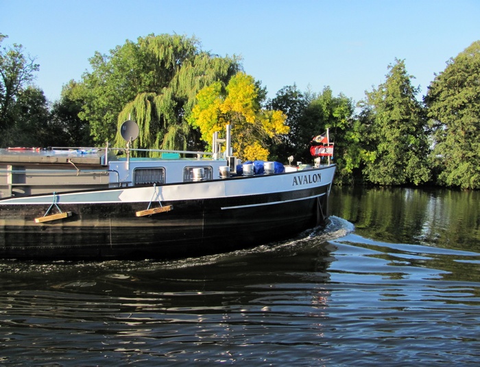 Tamy nie muszą być złem