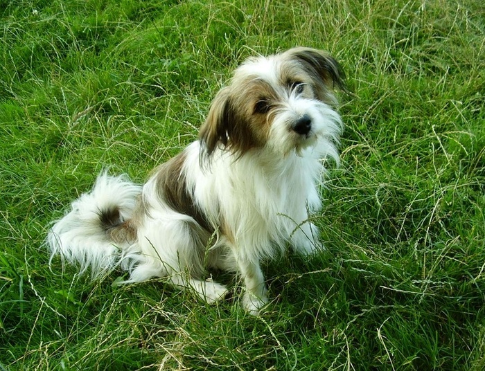 Dyziu zasnął dziś nad ranem