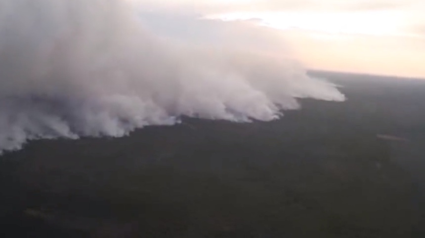 Rosja zmaga się z ogromnymi pożarami lasów. (fot. Twitter/TASS)