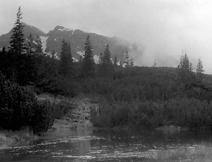 W odpowiedzi na notkę Sowińca "Górska głupota"