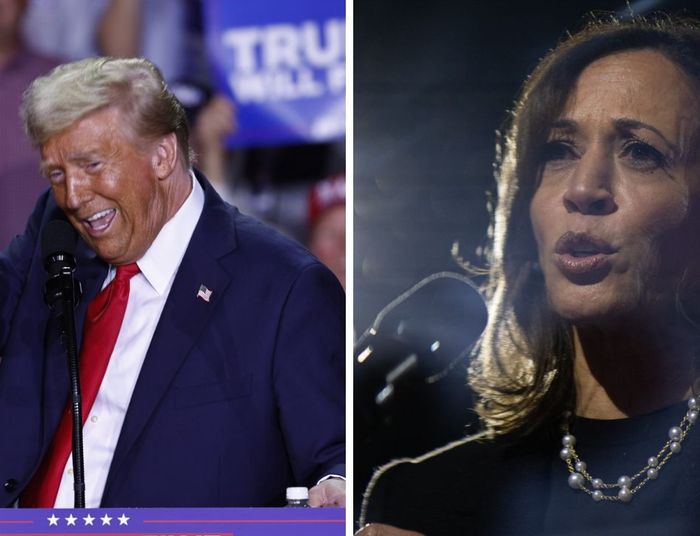 Koniec wyborów w USA. Wszystkie agencje prognozują zwycięstwo Trumpa