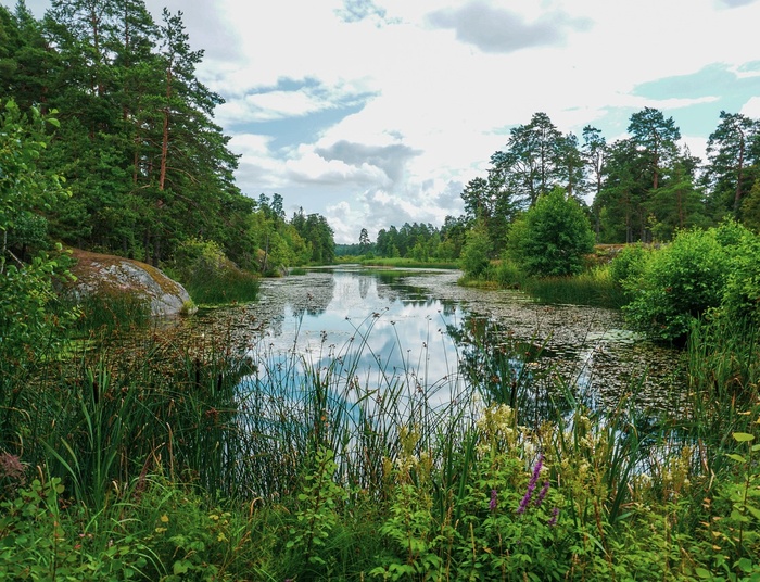 Miliony euro na przyrodę. Kontrowersyjne rozporządzenie unijne dotknie Polskę