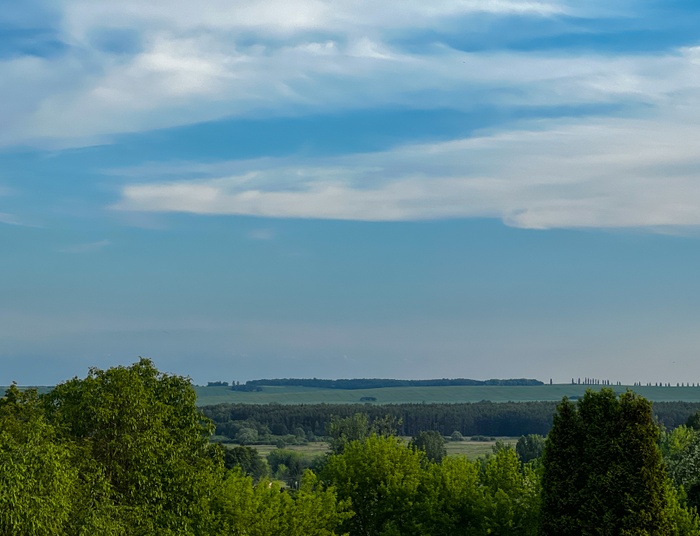 Pusty gest pojednania?