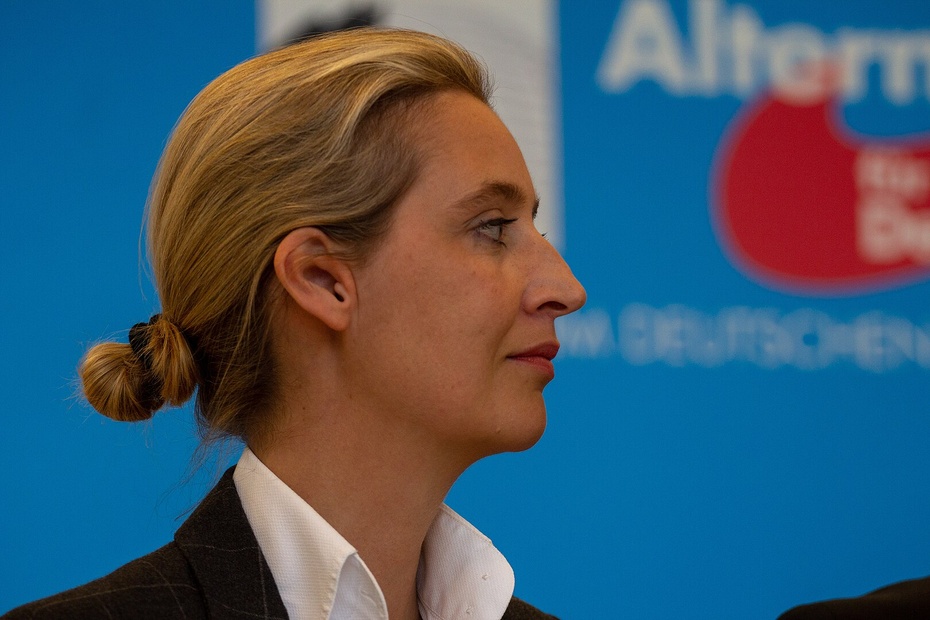 (Rzecznika Alternatywy dla Niemiec (AfD) Alice Weidel. Fot. Wikipedia)
