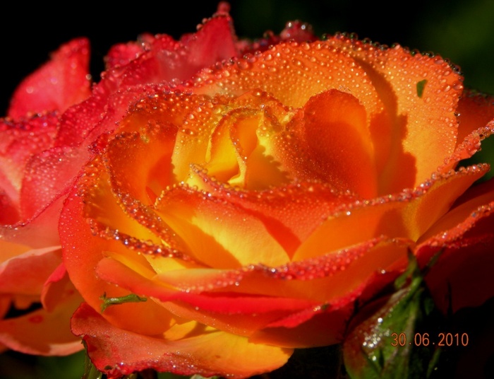 Zapal dziś Światełko Pamięci o godzinie 21.37