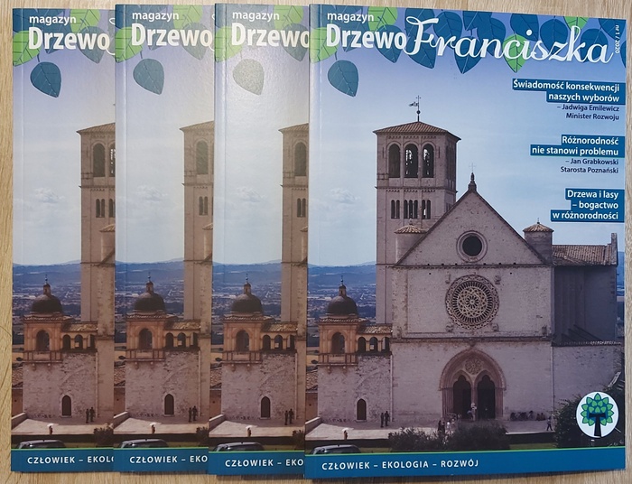 Drzewo Franciszka