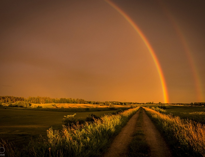 Pod niebem pełnym cudów