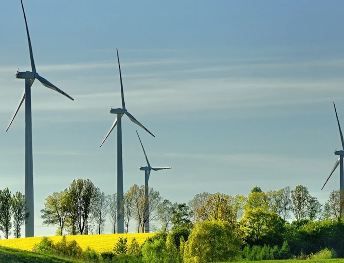 Historyczna emisja zielonych obligacji od Pekao
