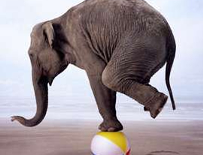 Chwila przed odlotem w niebyt - gdy równowagi brak