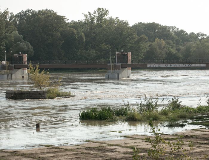 11 wniosków powodziowych