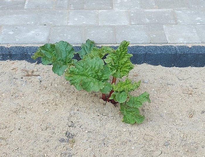 wojna wojną, a ja znowu otwieram sezon, 17 km od granicy