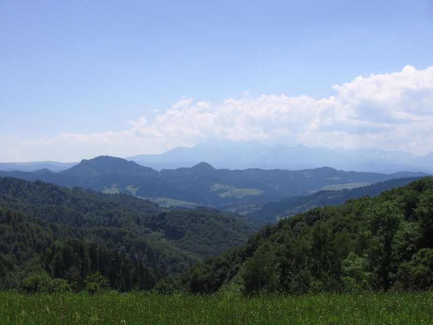 widok na Pieniny i Tatry w ich tle