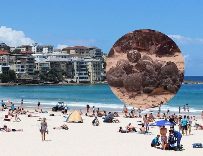 Na te plaże zjeżdżają turyści z całego świata. Nagle wydarzyło się tam coś dziwnego